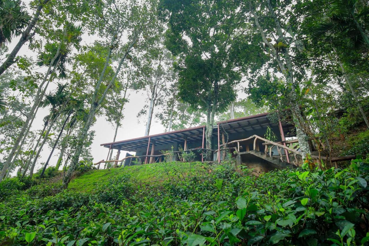 The Spice Lodge Ella Esterno foto